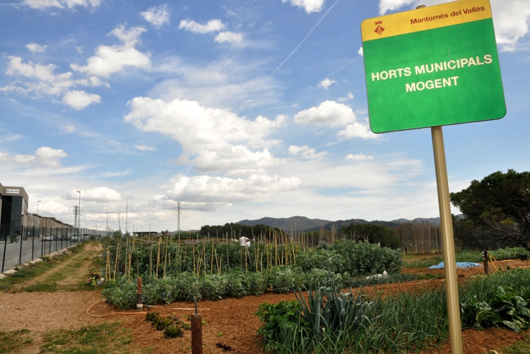 Imagen para los medios: Modificación del reglamento de los huertos municipales  